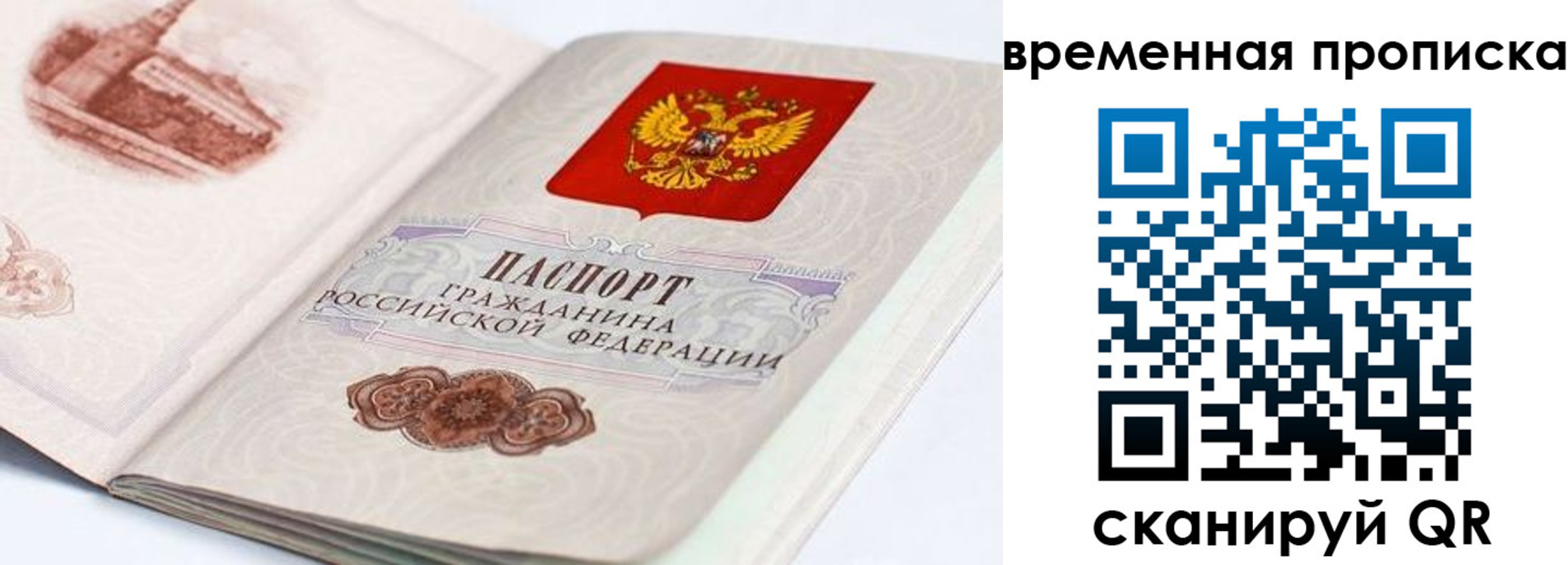 прописка 2025 в Ефремове